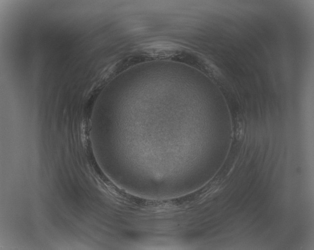 X0000060551108200511031209
