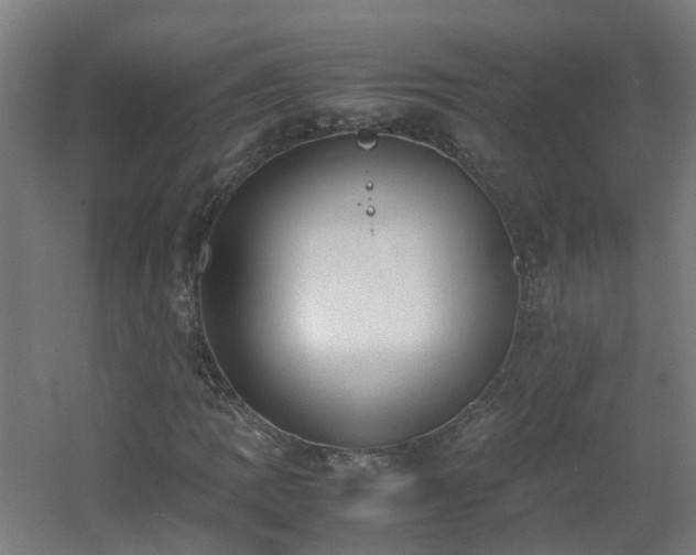 X0000060551109200511031209