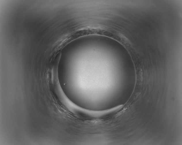 X0000060551110200511031209