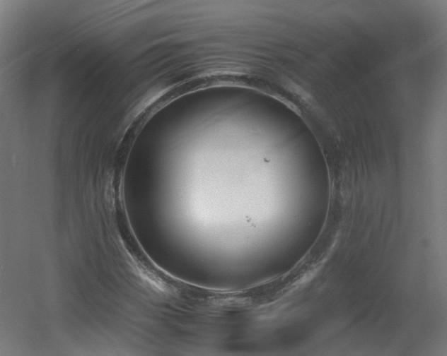X0000060551113200511031209
