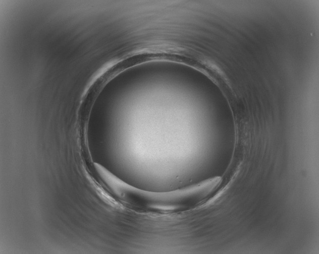 X0000060551114200511031209