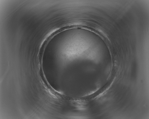 X0000060551117200511031209