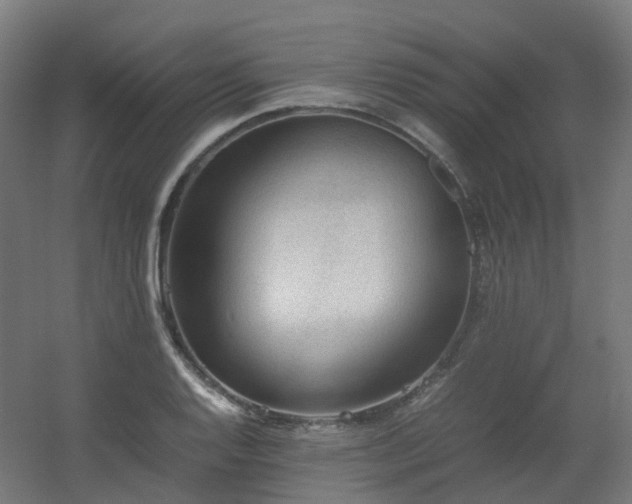 X0000060551128200511031210