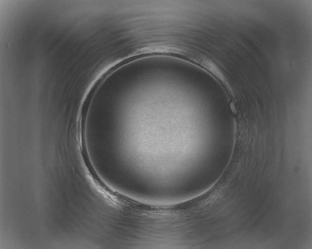 X0000060551132200511031210