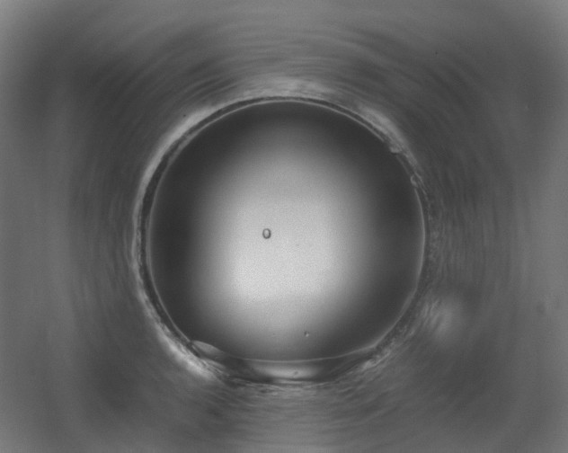 X0000060551136200511031210