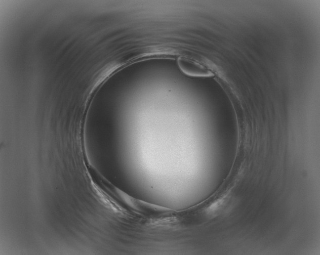 X0000060551137200511031210