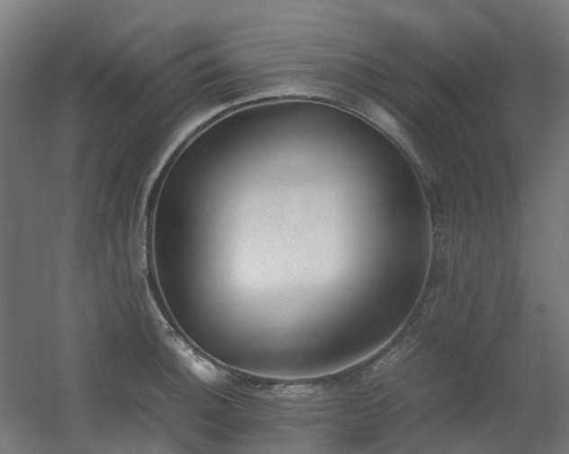 X0000060551140200511031210