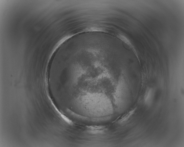 X0000060551141200511031210