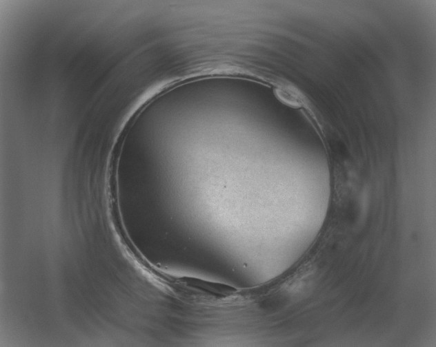 X0000060551142200511031210