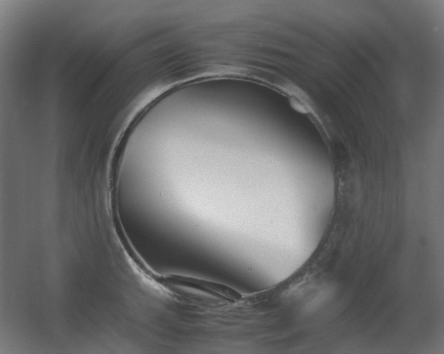 X0000060551143200511031210