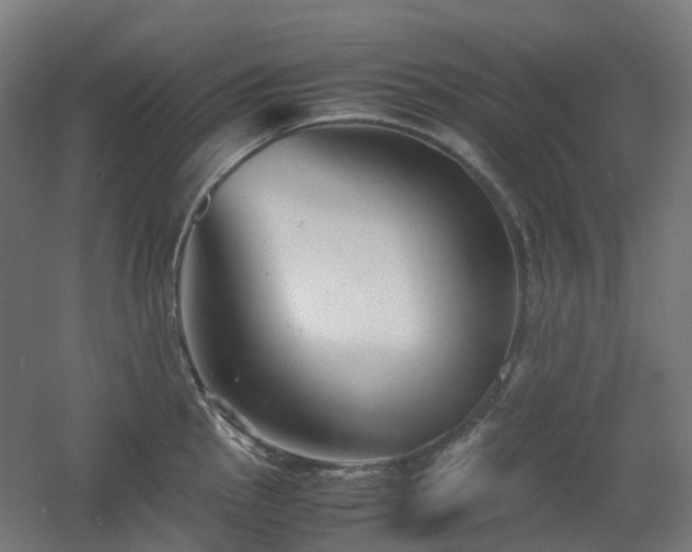 X0000060551145200511031210