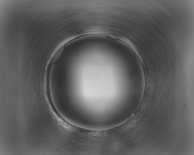 X0000060551147200511031210