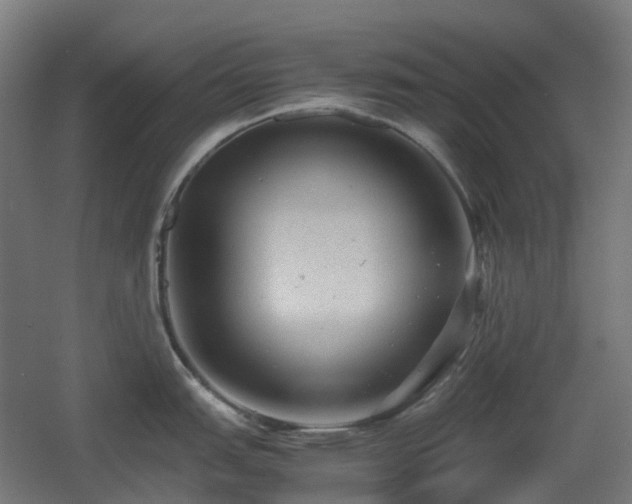 X0000060551151200511031210
