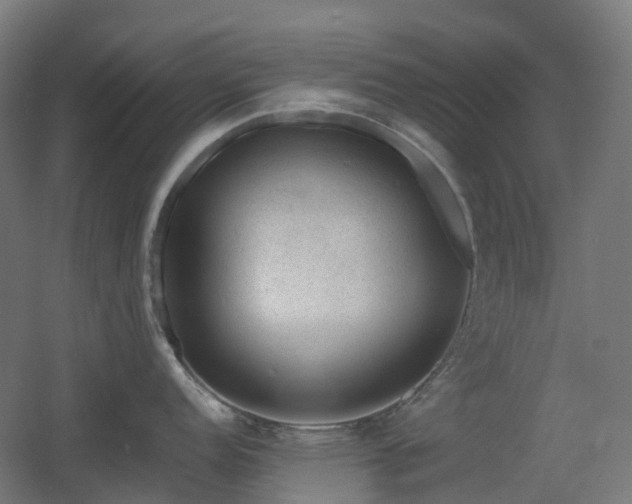 X0000060551152200511031210