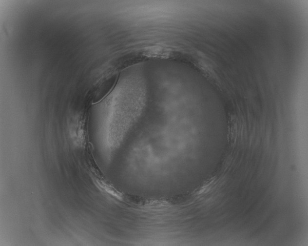 X0000060551154200511031209