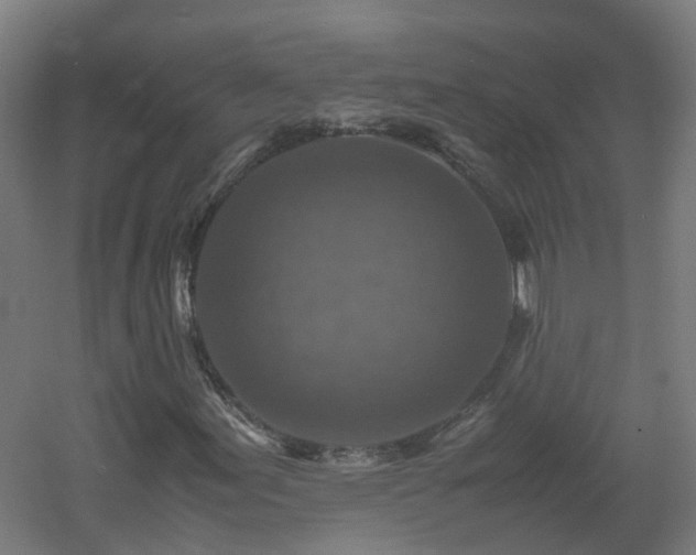 X0000060551155200511031209