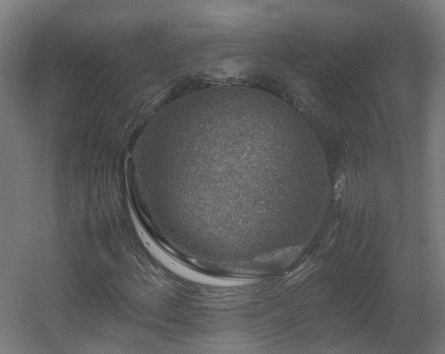X0000060551156200511031209