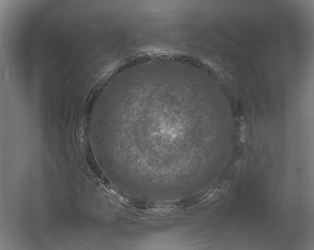 X0000060551157200511031209
