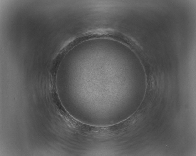 X0000060551158200511031209