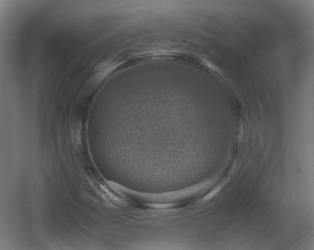 X0000060551161200511031209