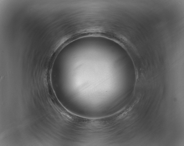 X0000060551162200511031209