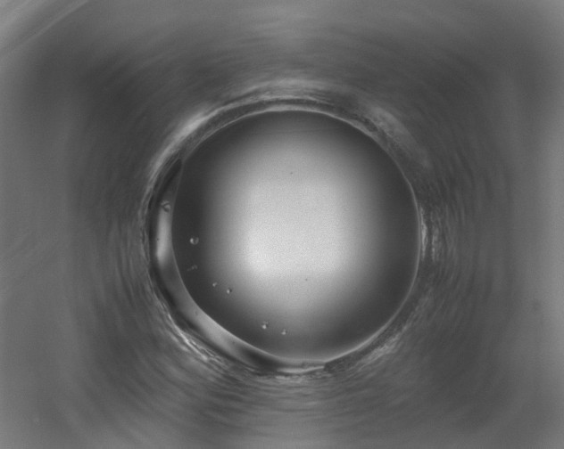 X0000060551164200511031209