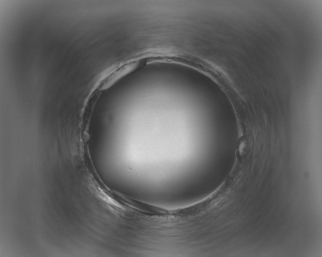X0000060551168200511031209