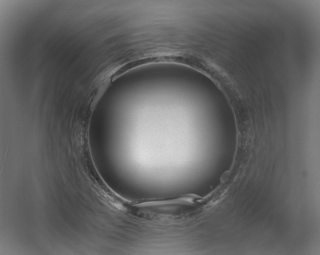 X0000060551169200511031209