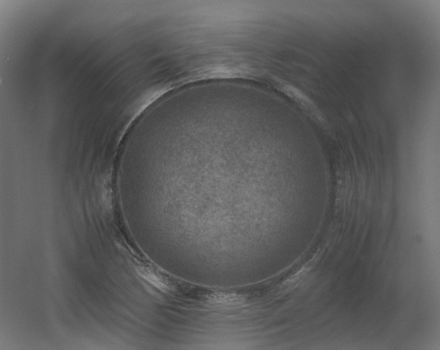 X0000060551170200511031209
