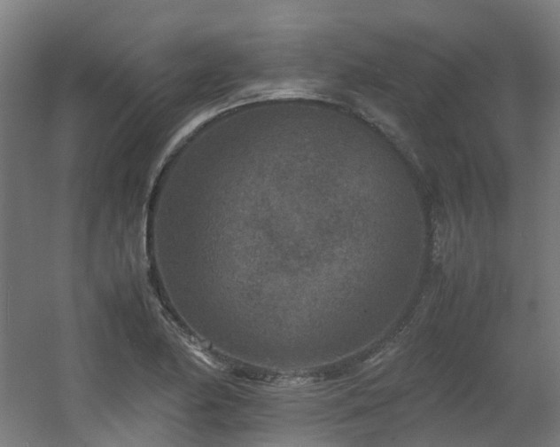 X0000060551174200511031209