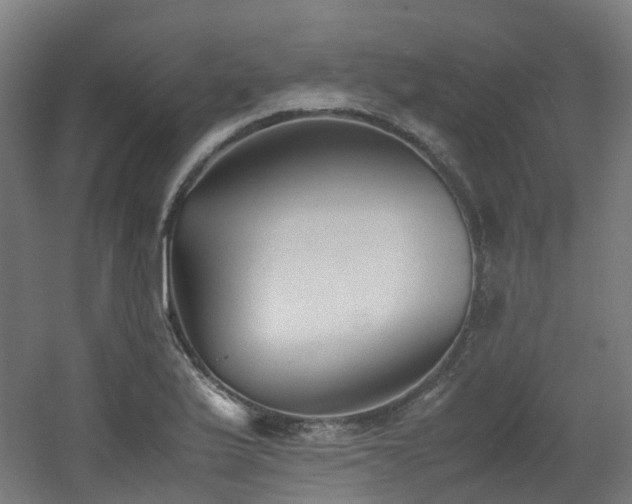 X0000060551175200511031209