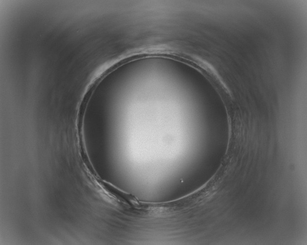 X0000060551176200511031209