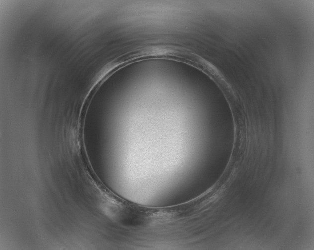 X0000060551178200511031209