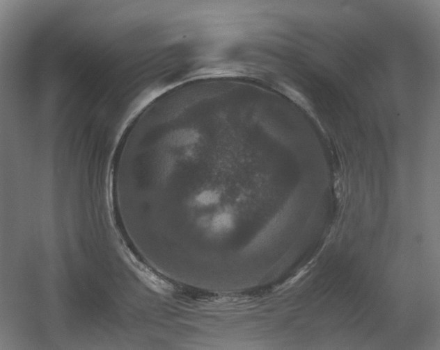 X0000060551179200511031209