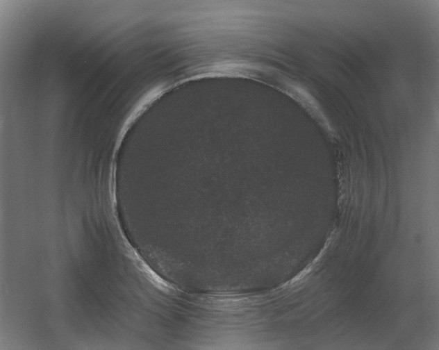 X0000060551180200511031209
