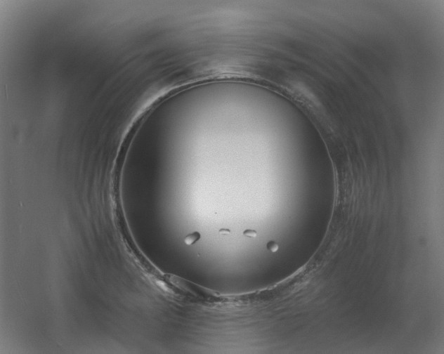 X0000060551182200511031209