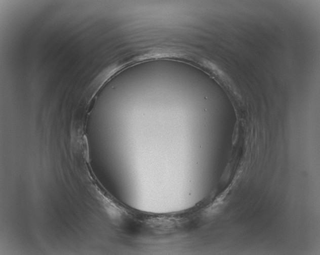 X0000060551185200511031209