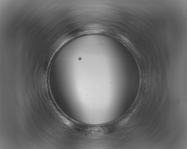 X0000060551186200511031209