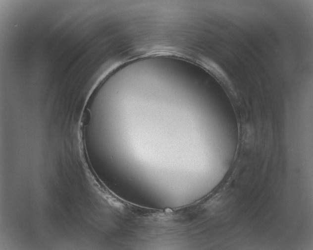 X0000060551190200511031209