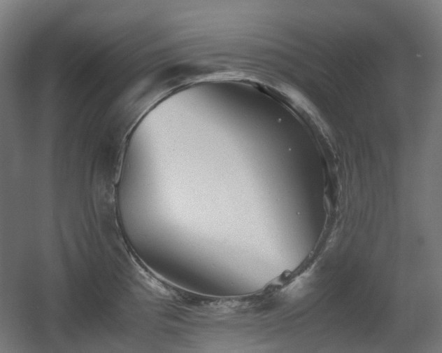 X0000060551193200511031209