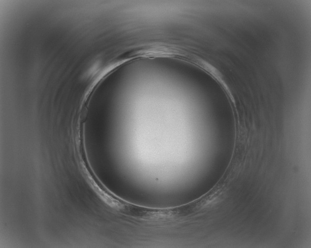 X0000060551195200511031208
