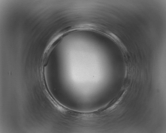 X0000060551196200511031208