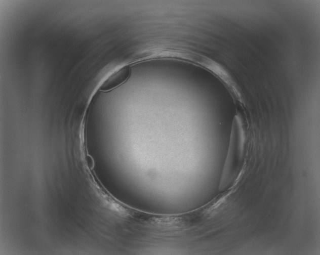 X0000060551198200511031208