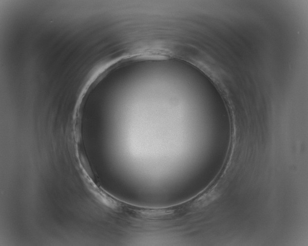X0000060551200200511031208