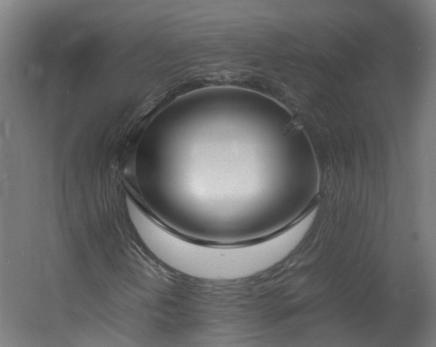 X0000060551202200511031208