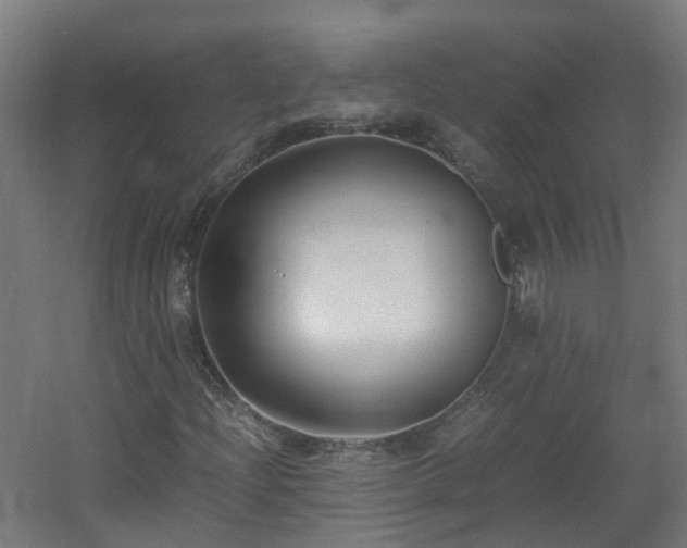 X0000060551204200511031208