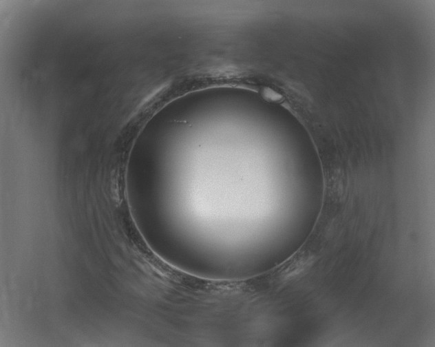 X0000060551205200511031208