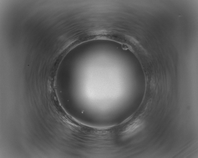 X0000060551209200511031208