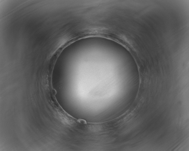 X0000060551211200511031208