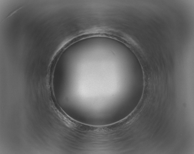 X0000060551216200511031208